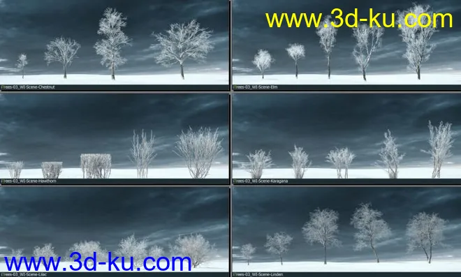 75颗形态各异的冬季树木模型的图片2