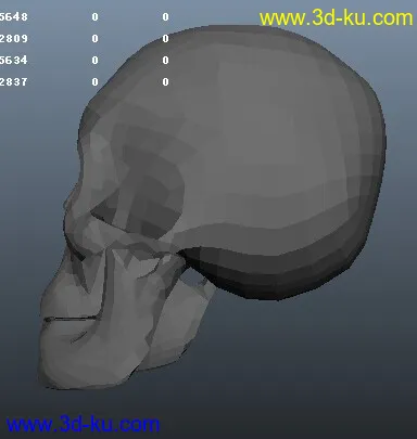 骷髅头-maya模型的图片3