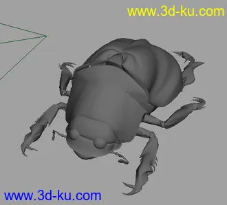 3D打印模型甲壳虫的图片