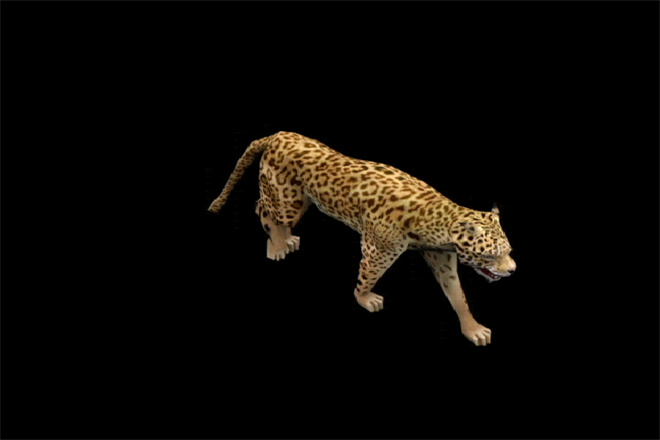 豹子带绑定，有动画，材质模型的图片1
