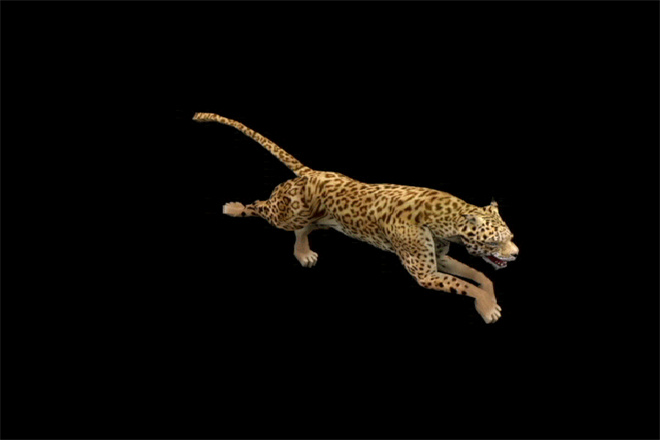 豹子带绑定，有动画，材质模型的图片2