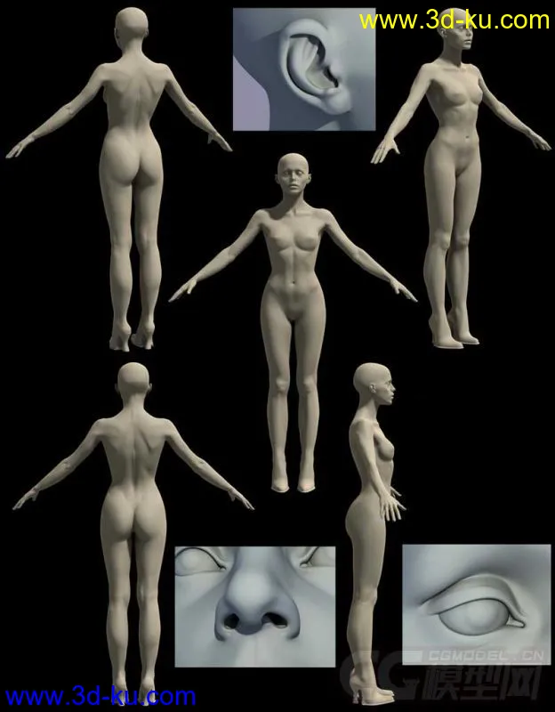 人体模型截图的图片2