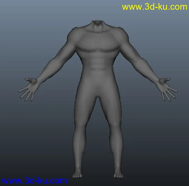 人体模型的图片1