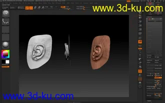 ZBrush耳朵雕刻模型的图片