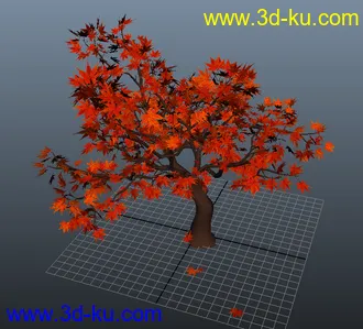 3D打印模型枫树的图片