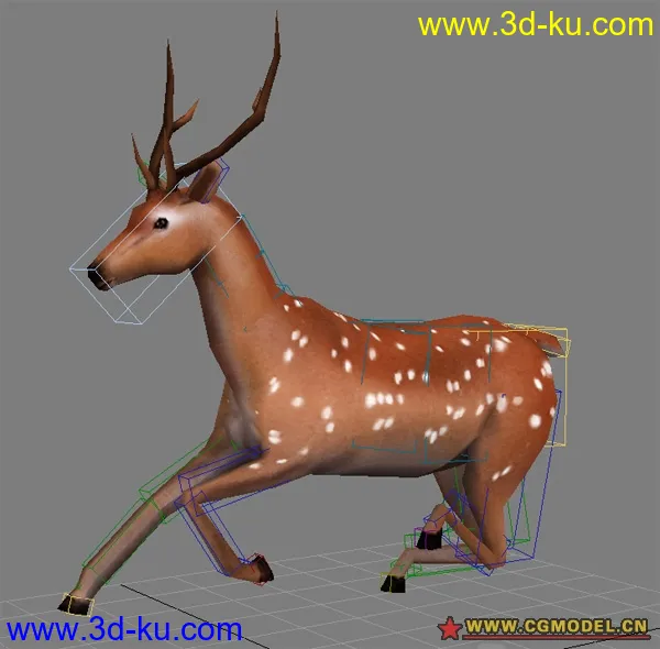 deer 連骨架 low model模型的图片1