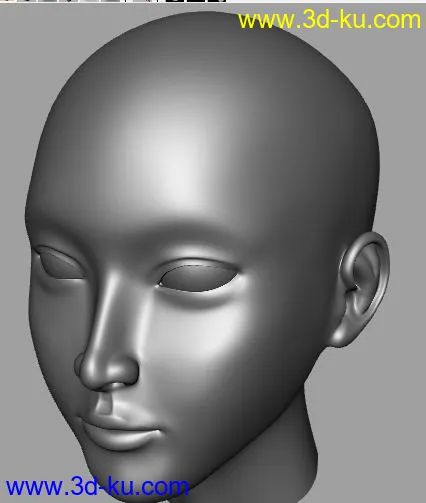 女性头部模型的图片1