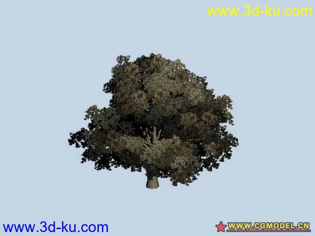 SpeedTree 造树插件   树库模型的图片1