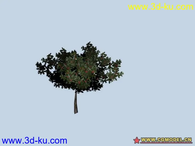 SpeedTree 造树插件   树库模型的图片2