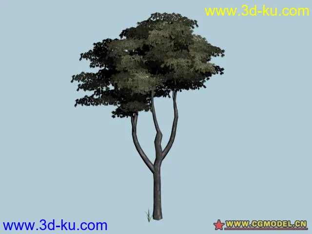 SpeedTree 造树插件   树库模型的图片6