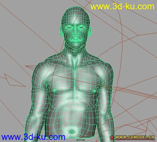 精细的人体（产品级别）模型的图片5