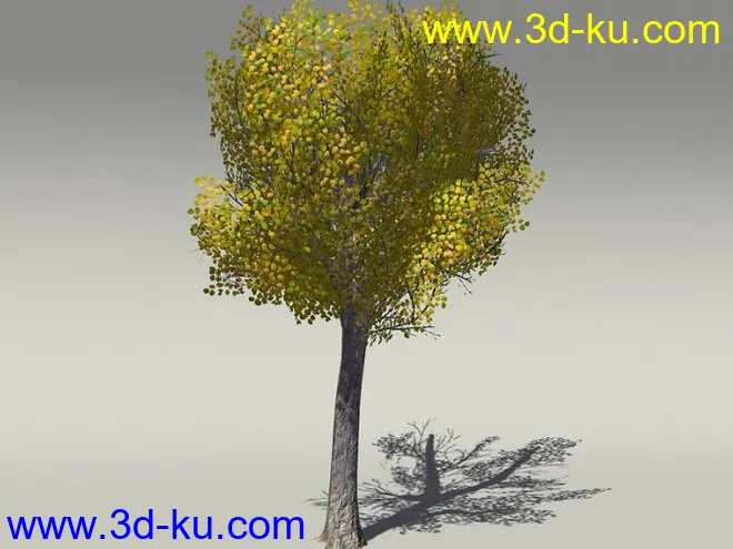 G:3D模型《欧式树木植物3D模型合辑》的图片16