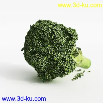 3D打印模型水果蔬菜的图片