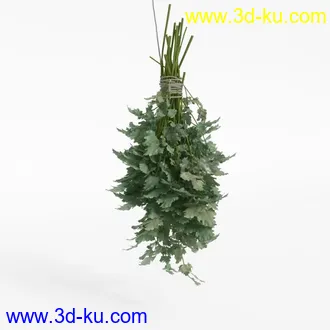 3D打印模型水果蔬菜的图片