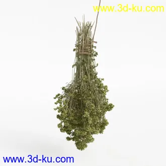 3D打印模型水果蔬菜的图片