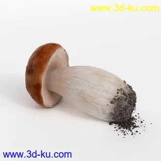 3D打印模型水果蔬菜的图片