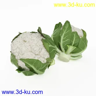 3D打印模型水果蔬菜的图片