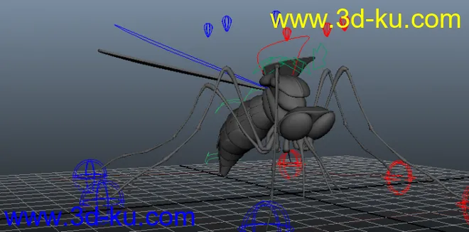 昆虫苍蝇绑定模型的图片2