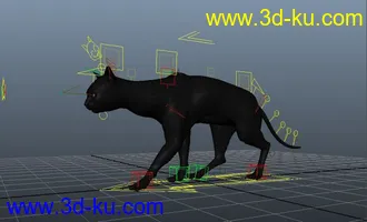 3D打印模型猫  走路  绑定动画   四足动画的图片