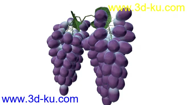 葡萄模型的图片2