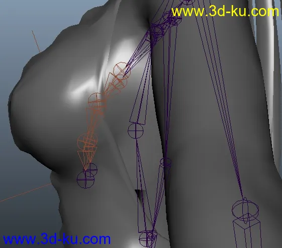 maya绑定的乳摇系统和大家分享下模型的图片2
