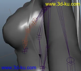 3D打印模型maya绑定的乳摇系统和大家分享下的图片