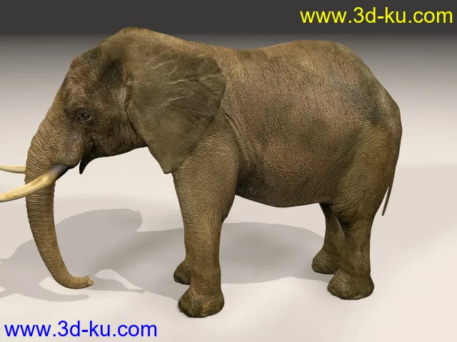 超写实大象模型，有材质的图片1