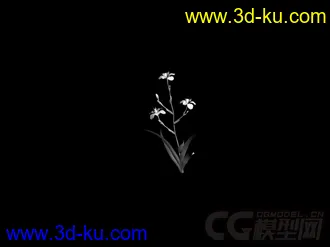 3D打印模型flower27的图片