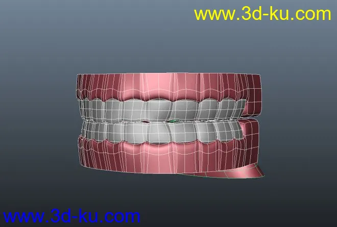 Teeth_maya模型的图片1