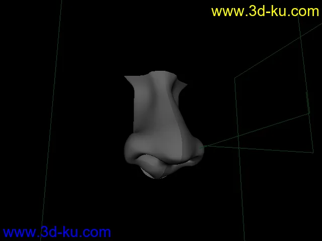 鼻子模型的图片1