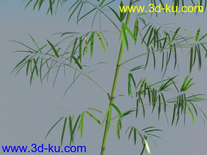 竹子 有贴图材质 带UV模型的图片1
