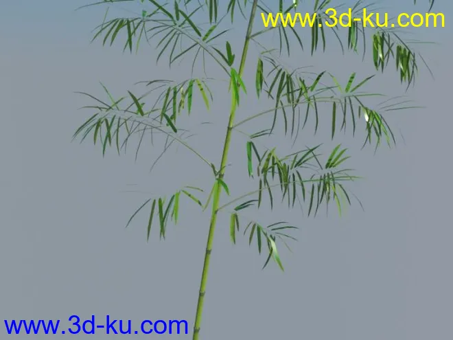 竹子 有贴图材质 带UV模型的图片2