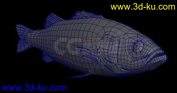 一条普通小鱼，mb+obj格式模型的图片3
