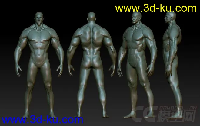 肌肉男模型的图片1