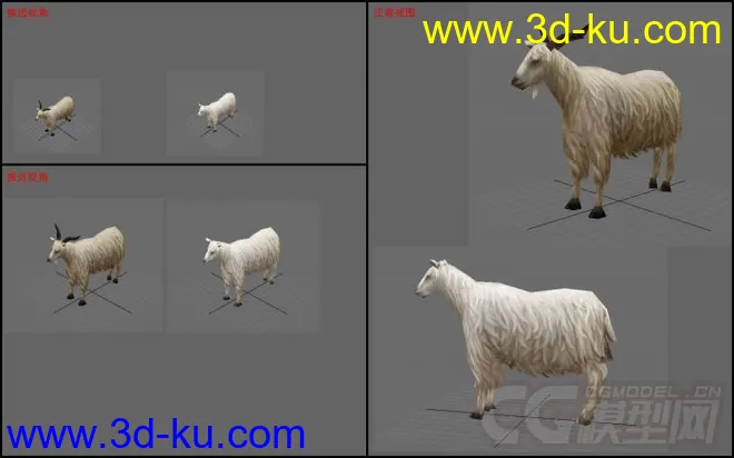 羊有 贴图材质 动画模型的图片1