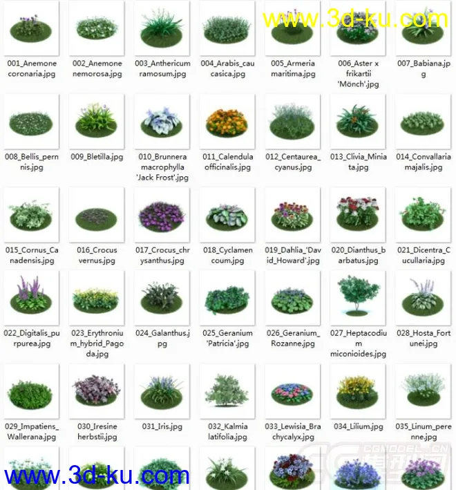 42棵超写实的植物，带材质模型的图片1