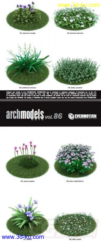 42棵超写实的植物，带材质模型的图片2