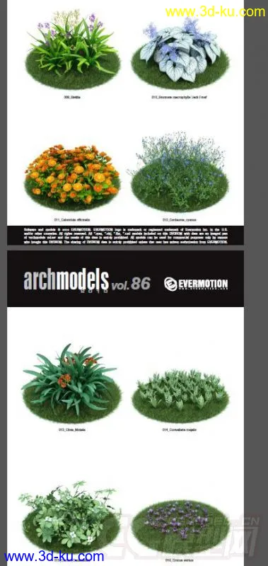 42棵超写实的植物，带材质模型的图片3