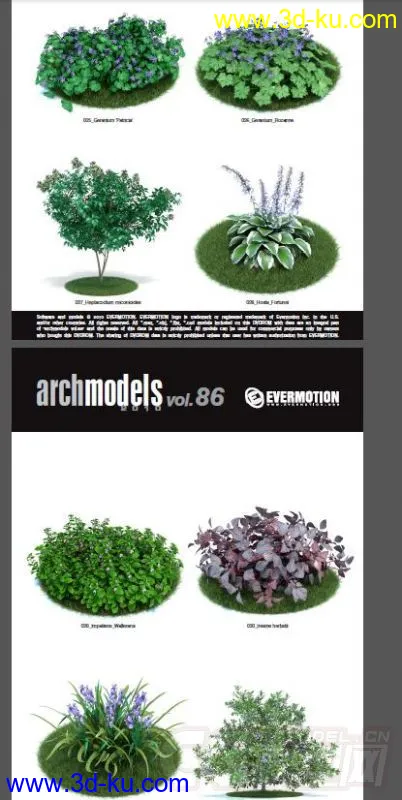 42棵超写实的植物，带材质模型的图片5