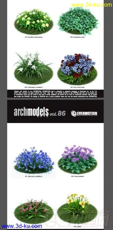 42棵超写实的植物，带材质模型的图片6