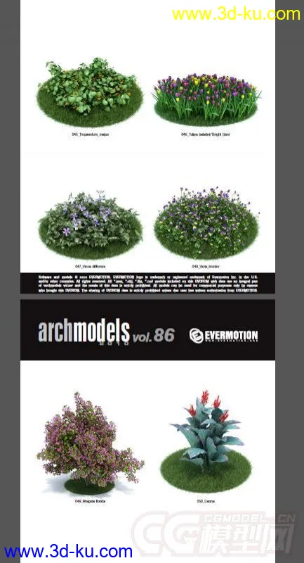 42棵超写实的植物，带材质模型的图片7