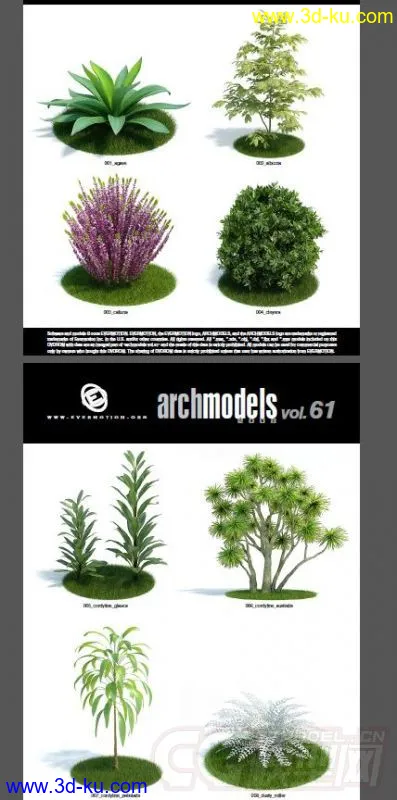 一套超写实花草模型，植物模型的图片1