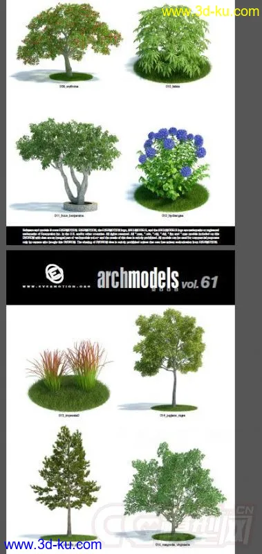 一套超写实花草模型，植物模型的图片2