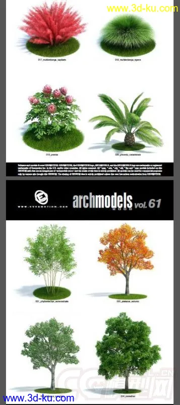 一套超写实花草模型，植物模型的图片3