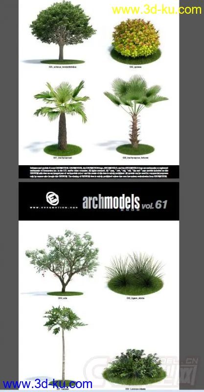 一套超写实花草模型，植物模型的图片4