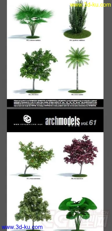 一套超写实花草模型，植物模型的图片5