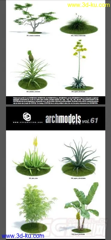 一套超写实花草模型，植物模型的图片6