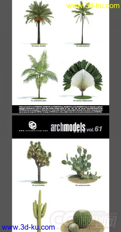 一套超写实花草模型，植物模型的图片7