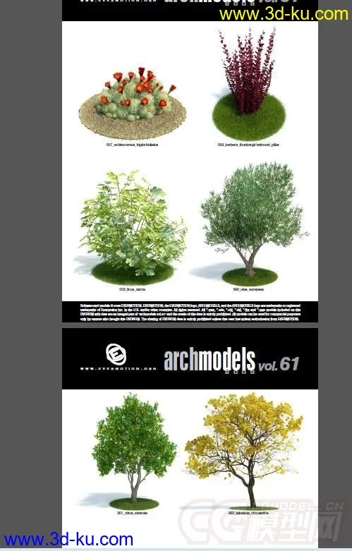 一套超写实花草模型，植物模型的图片8