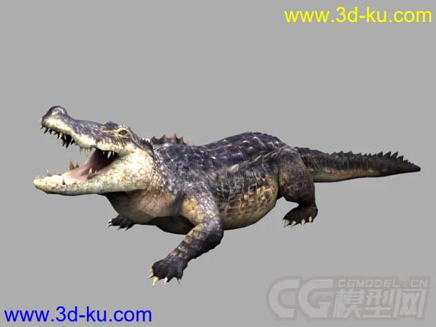 鳄鱼 写实模型 带有绑定和攻击动作的图片1